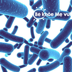 Probiotics và Prebiotics